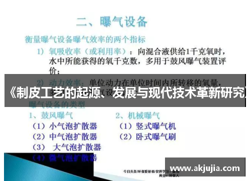 《制皮工艺的起源、发展与现代技术革新研究》